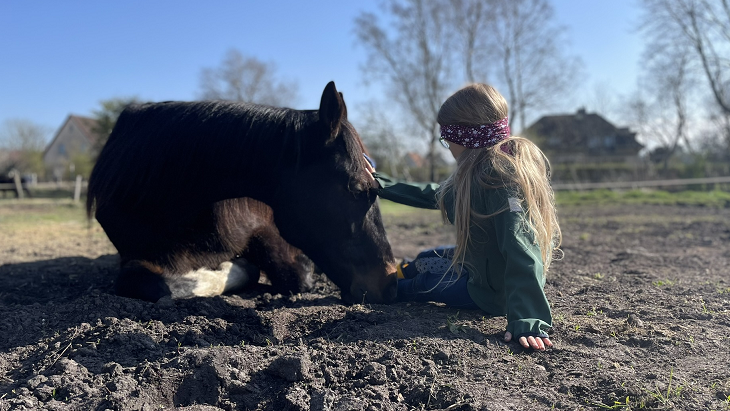 Tiergestützte Arbeit mit Kindern Vertrauen und Ruhe